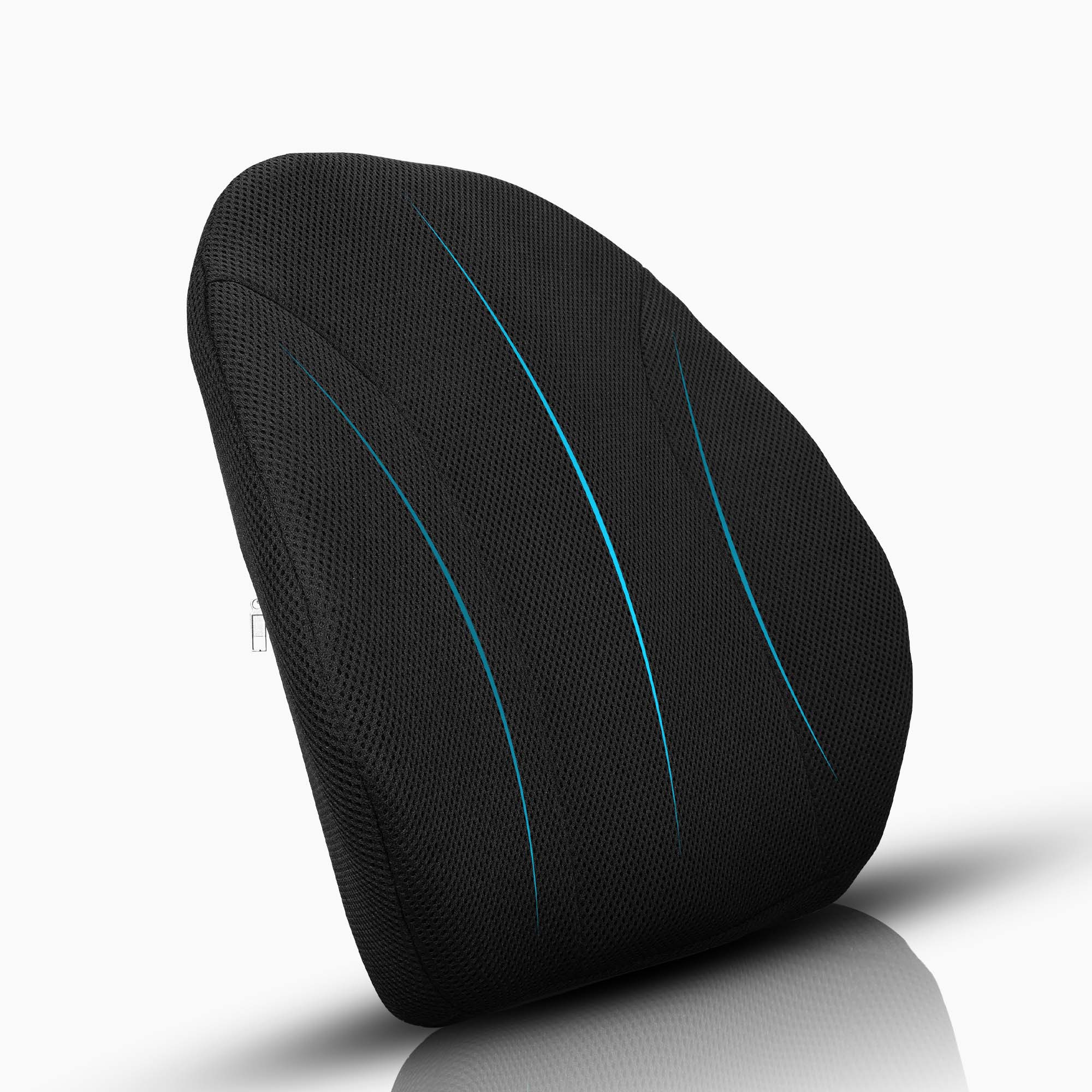 Curved Lumbar Support
